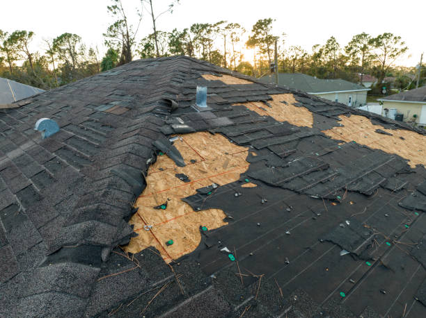 Best Roof Repair  in USA